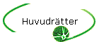 Huvudrtter