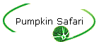 Pumpkin Safari