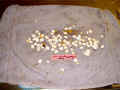 02102405-2257c.jpg (26594 byte)