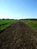 07062002.jpg (87780 byte)